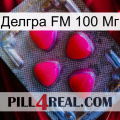 Делгра FM 100 Мг 13